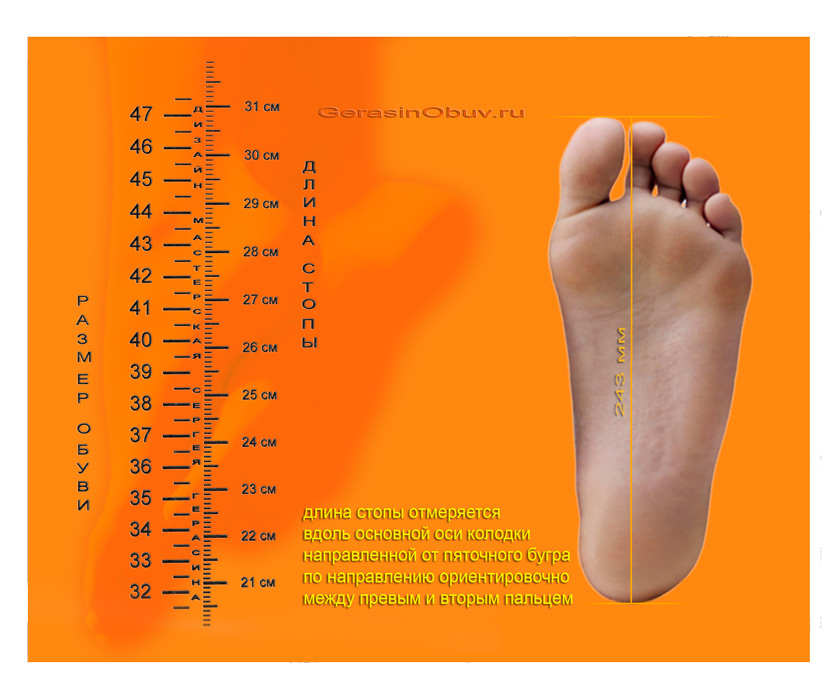 Система определения размеров ноги, таблица для размеров обуви